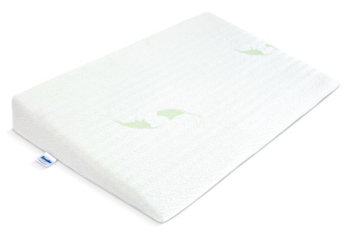 Luxus keilkissen aus aloe vera - aus,